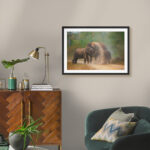 Elephant Mud Bath - Image 4