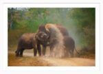 Elephant Mud Bath - Image 5