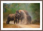 Elephant Mud Bath - Image 7