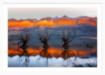 Glenorchy Sunrise – Edition I - Image 5