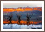 Glenorchy Sunrise – Edition I - Image 7