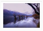 Glenorchy, New Zealand – Edition II - Image 5