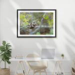 Koala Hanging - Image 4