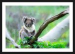 Koala Serene - Image 3