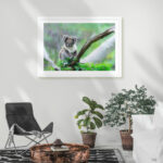 Koala Serene - Image 6