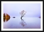 Lake Wanaka, New Zealand - Image 3