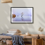 Lake Wanaka, New Zealand - Image 4