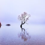 Lake Wanaka, New Zealand