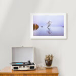 Lake Wanaka, New Zealand - Image 6