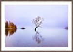 Lake Wanaka, New Zealand - Image 7
