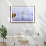 Lake Wanaka, New Zealand - Image 8