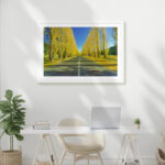 Autumn, Marysville - Image 6