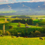 South Island, New Zealand – Edition I