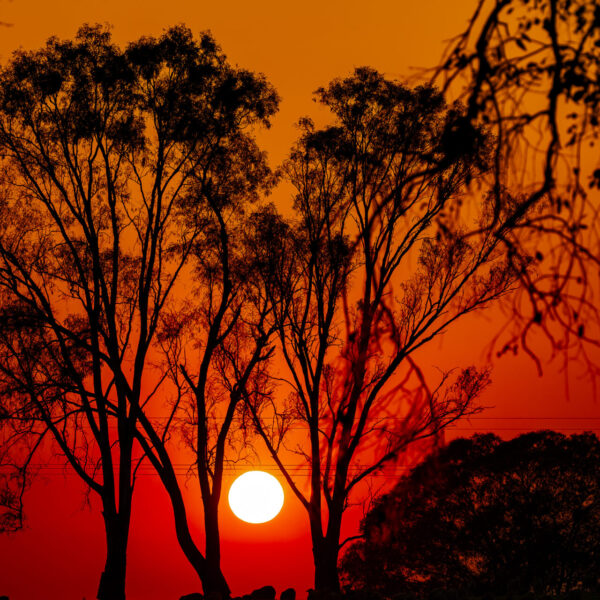 Sunrise, NSW
