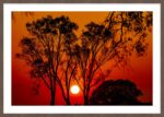 Sunrise, NSW - Image 7