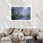 Winter, Victoria - Image 6